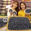 황금당 핀포인트뉴스