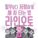 오토카프라자 | 대전 서구 렌트카 비용, 요금표, 리뷰 TOP 7