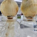 아람과학사 이미지