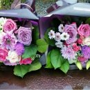 다혜꽃방 이미지