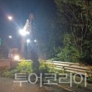 자유로 이미지
