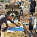 경인장례원 이미지