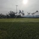 모나크cc 이미지