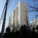 하단동211 이미지