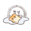천전언양농장생오리