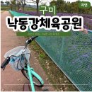 제2호 체육공원 | 구미 가을 꽃구경하기 좋은 낙동강체육공원 자전거 대여까지