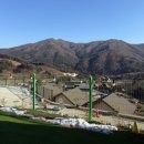 스테이수목 이미지