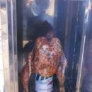 산장관광지 이미지