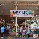 삼춘청과 이미지