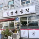 청춘곱창 - 원주시 | 청춘곱창