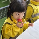 [쌍문동 세인어린이집 현장학습] 🍓아딸 딸기농장에 다녀왔어요~ 이미지
