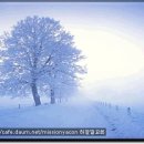 나무131