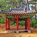 식파정 이미지
