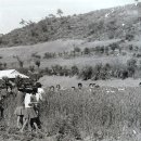 오리초등학교 이미지