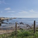 스카이펜션 | [내돈내산 / 솔직후기] [포항] 구룡포 스카이펜션 / 구룡포 주상절리