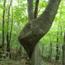 동암농장 이미지