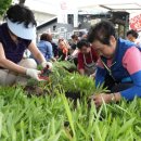 축산물시장(5) 이미지