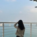 비비펠리스(BB PALACE) | 광안리호텔 아쿠아펠리스 : 부산숙소추천, 부산호캉스