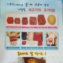 오투소아과