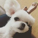 몽이미용실 이미지