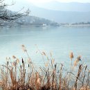 동대구로 이미지