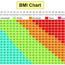 비만의기준 BMI 정상지수(여자남자) 와 계산법 복부비만 측정까지 이미지