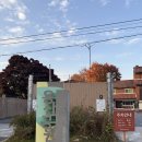 용산기지 옛 미군장교숙소(현 용산공원) | 서울 단풍 명소 용산 공원 미군 장교숙소 5단지 단풍 구경 / 주차