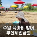잉어물놀이 | 부산시민공원 물놀이 시간·주차 꿀팁 - 주말 현실 후기