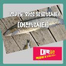 어천낚시터 | 경기도 화성 유료낚시터 어천낚시터 장마철 짬낚후기