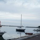 오양짚불곰장어 이미지