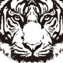 무등산호랭이 이미지