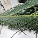 농협은행제주수련원해오름 이미지