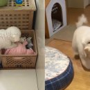 베델농장 이미지