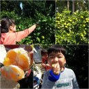 대내농장 이미지