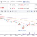 와이앤지글로벌 이미지
