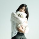 페트레잇