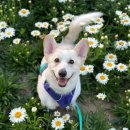 서구-02-72 이미지