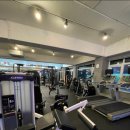 팀보노짐 이미지