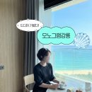 명성목욕탕 | 신라모노그램 강릉 호텔 호캉스 수영장 4부 내돈내산 후기 🌊