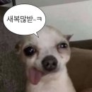 불독PC방 | 나는 죽었다.