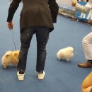 대구수지 이미지