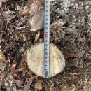 은평-053 이미지