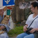 문경파출소 이미지