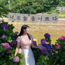 카페꽃길 - 서구 원당대로840번길 5 | 통영 수국축제 광도천 수국꽃길 만개 현황 주차장 카페 후기