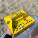 대일여인숙 | 설악해수욕장 파라솔, 샤워 시설, 물놀이 용품 대여, 편의점