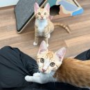 연두민박 이미지