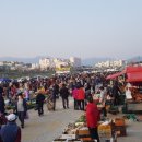 남대천강릉교밑 이미지