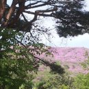 차황상법마을 이미지