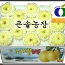 큰솔농장 이미지