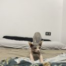 정아민박 이미지